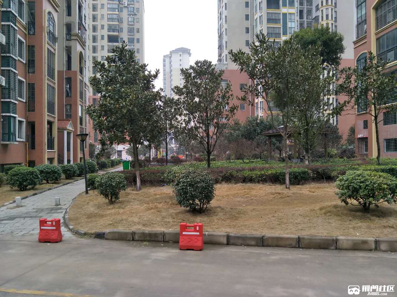 荆门城市春天图片