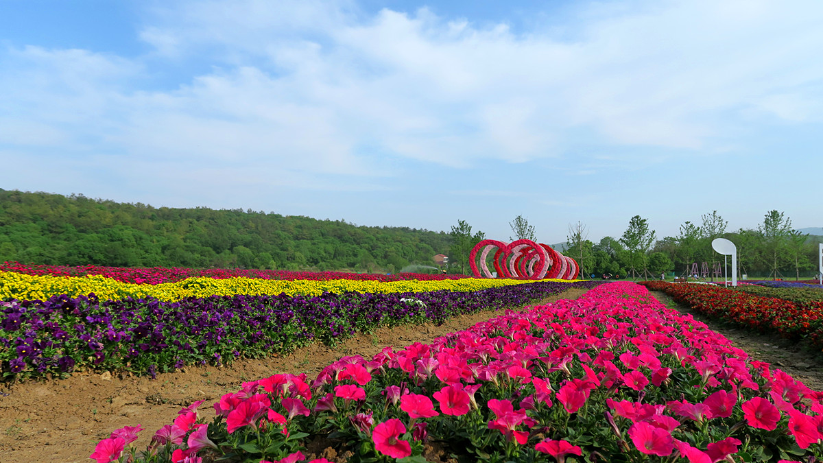 圣境山花谷 - 我是拍客 - 荆门社区 - 强势媒体 荆门门户