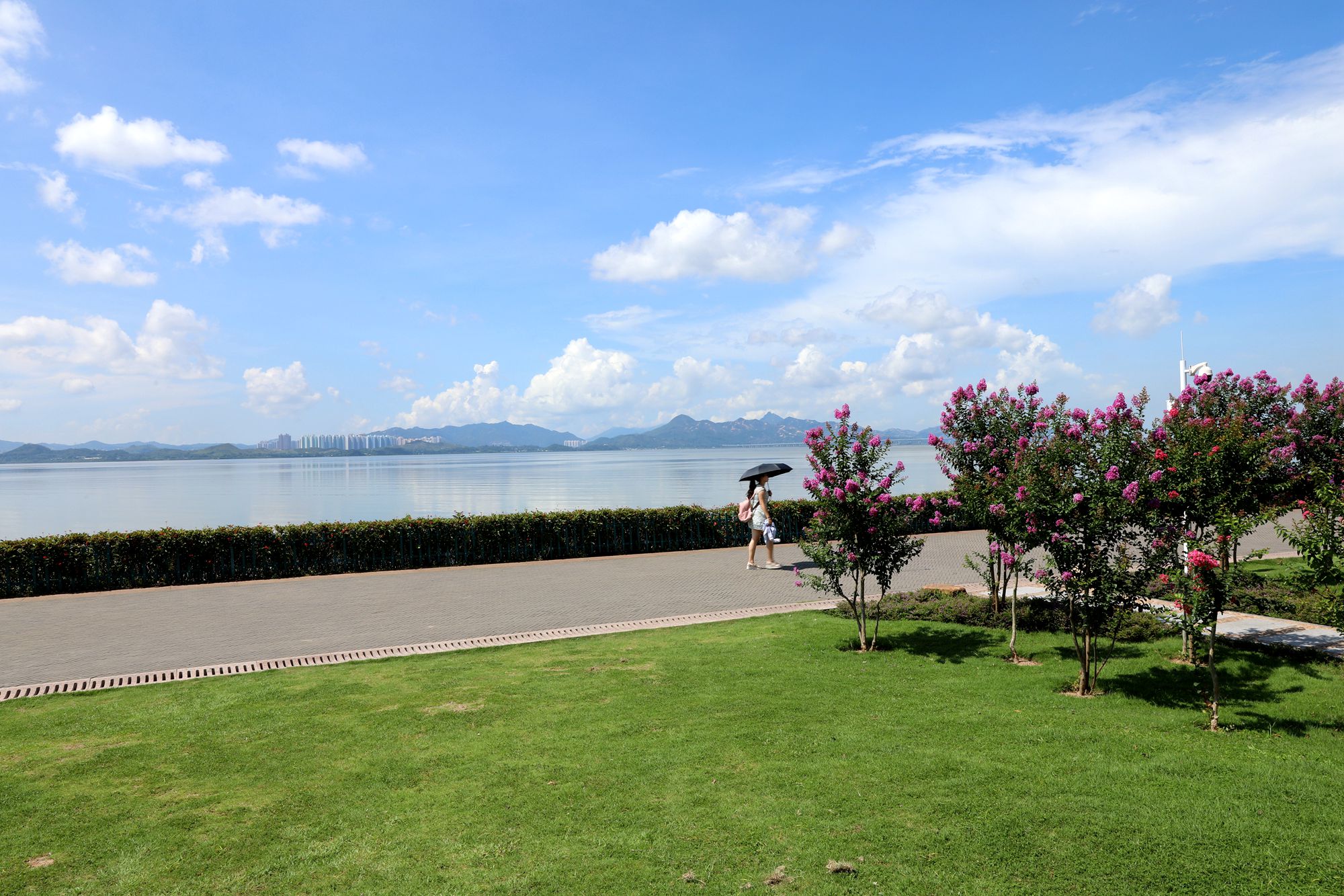 深圳湾海滨公园风景图片