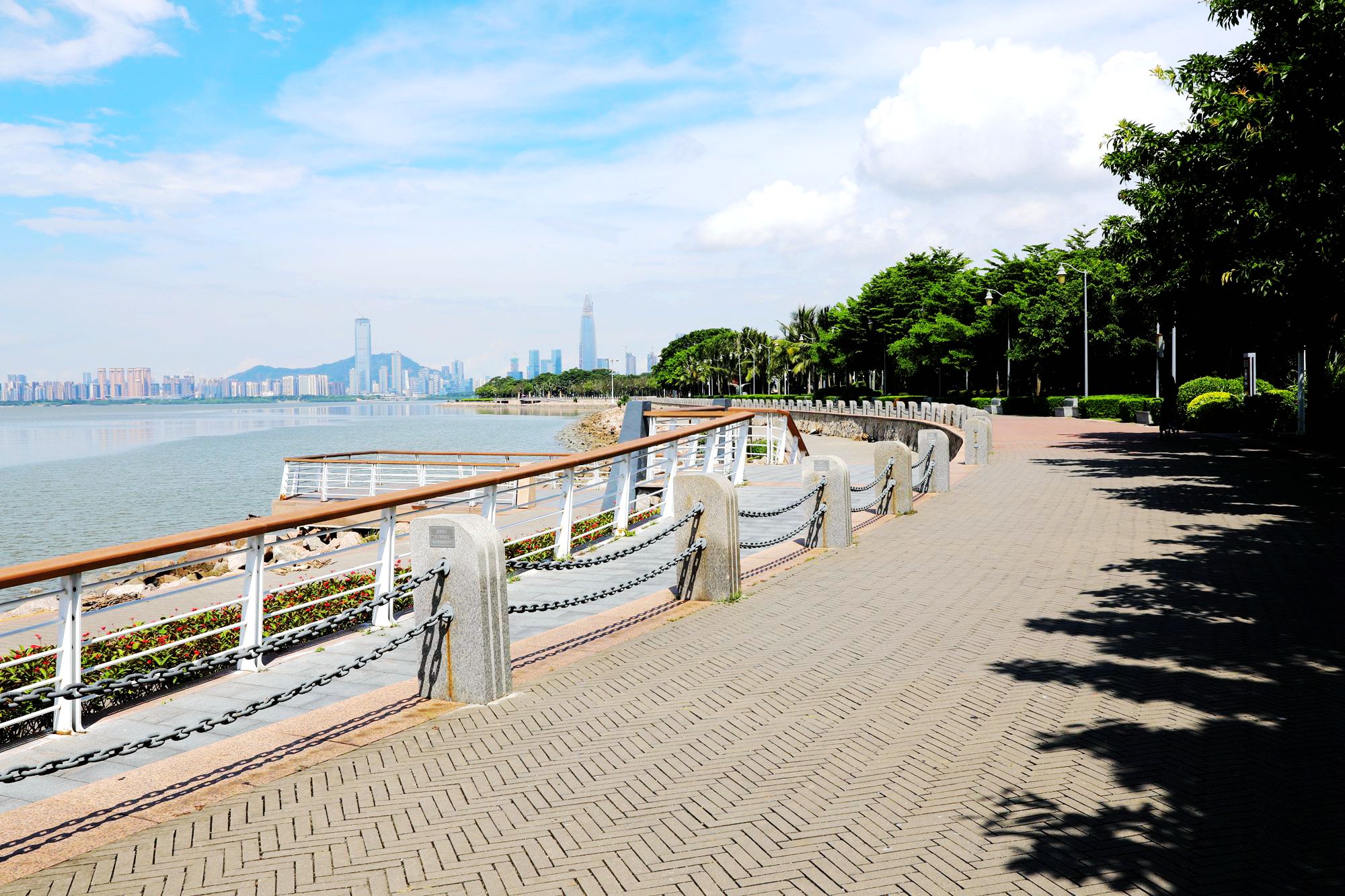 把美丽的深圳湾海滨公园分享给朋友们!