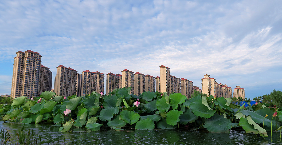 醉美凤凰湖