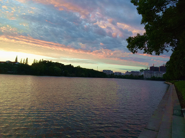 沙洋平湖美如画