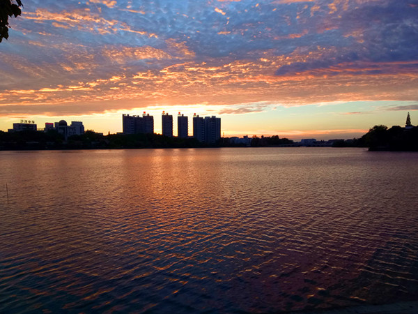 沙洋平湖美如画