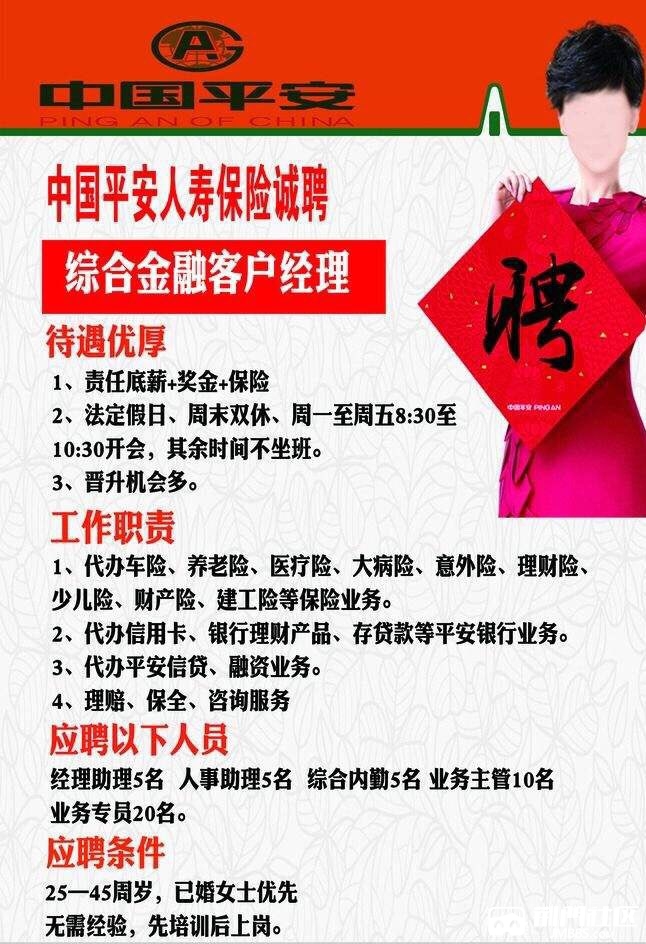 平安综合金融招聘1号主管