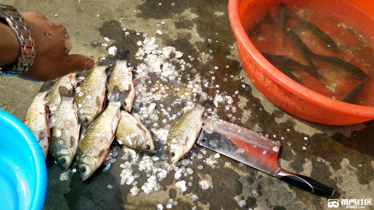 我是荆门钓鱼黑泥潭大爆发