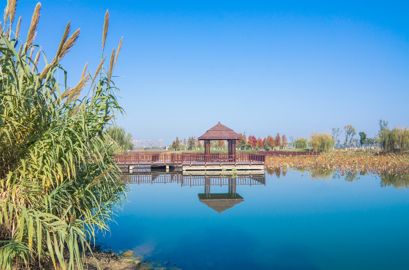 走在荆门凤凰湖湿地公园