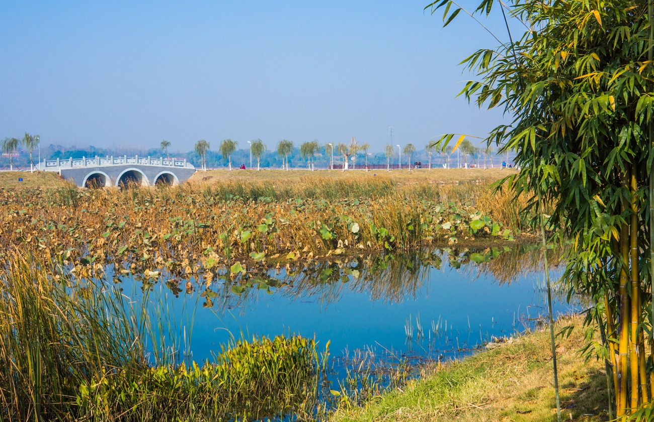 走在荆门凤凰湖湿地公园