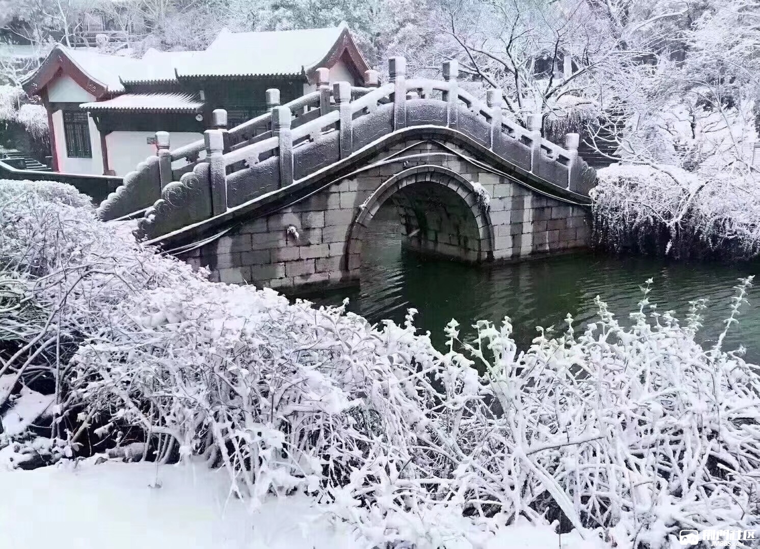 龙泉公园雪景美不胜收