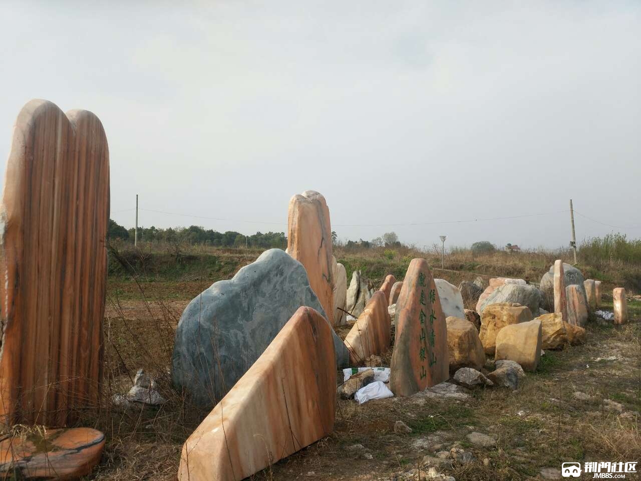 漳河大道各種景觀石銷售 - 花卉交易街 - 荊門社區 - 強勢媒體 荊門