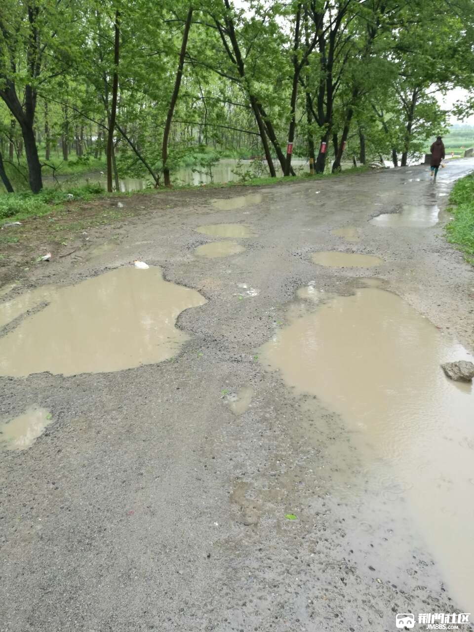 (已回复)沙洋县官当镇估计就剩这个村没通水泥路了!