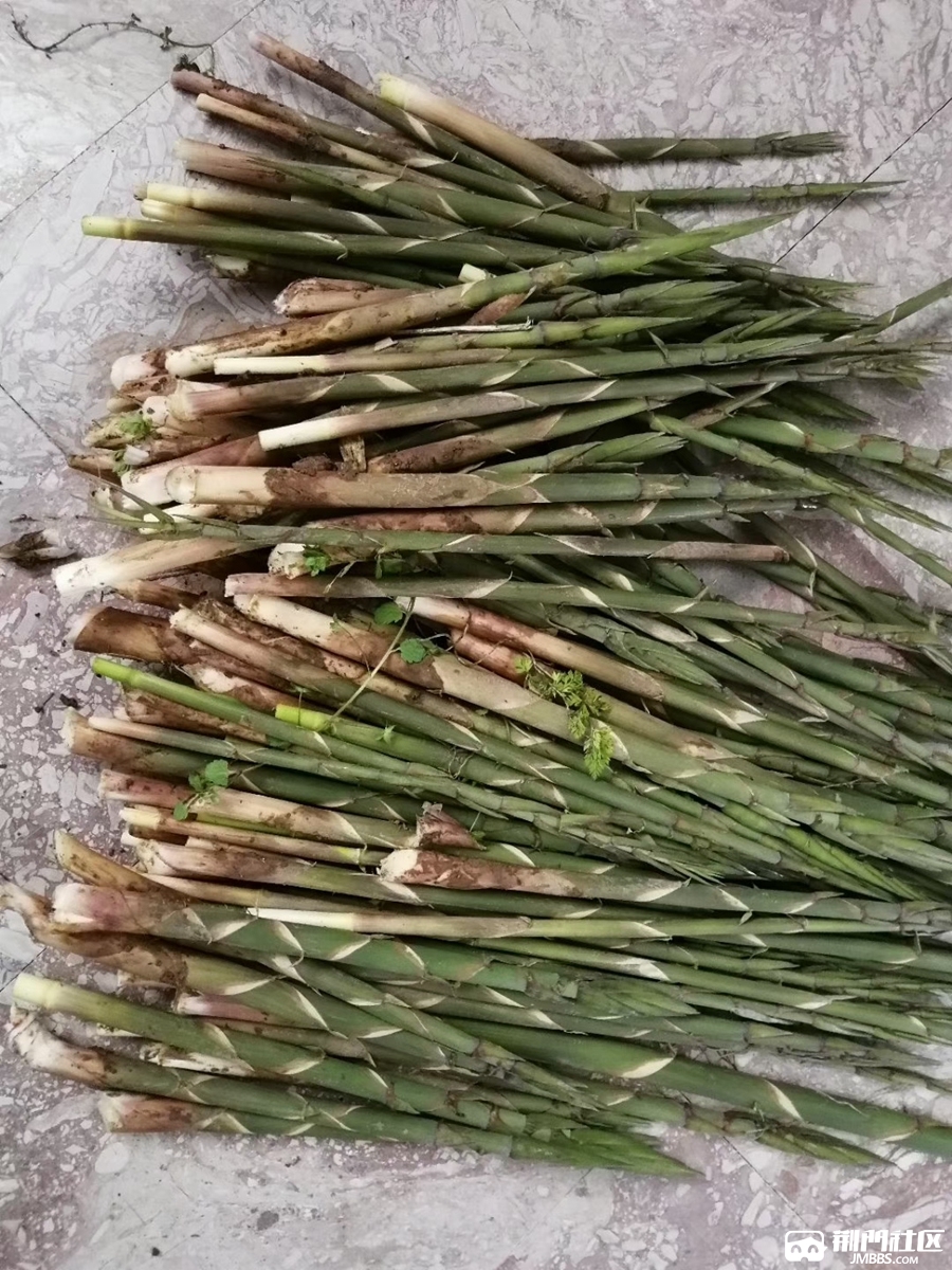 约泡元佑温泉,采烂漫山花,品纯正野生山笋!