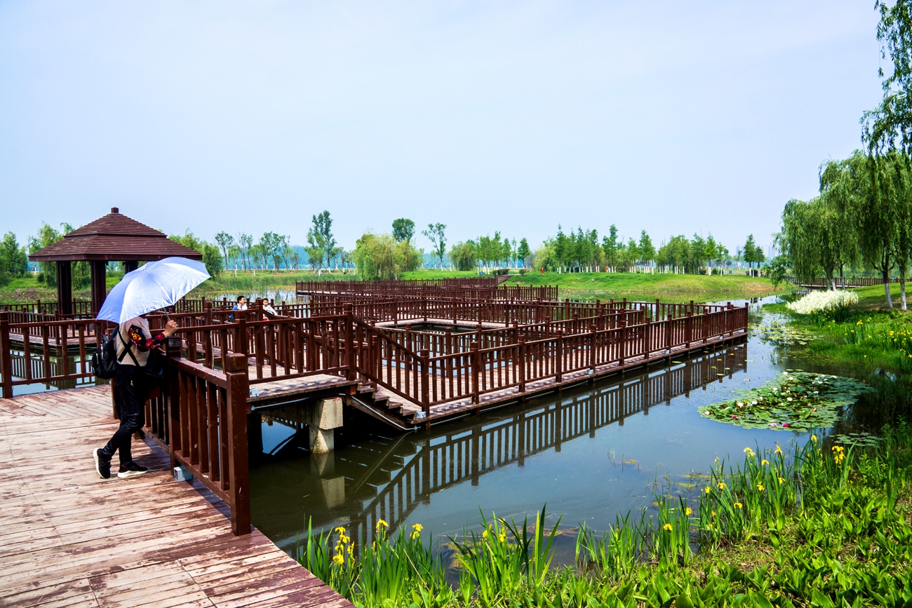 春到鳳凰湖溼地公園