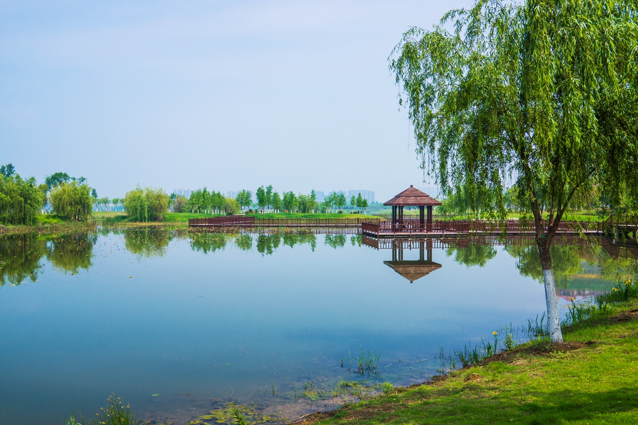 春到凤凰湖湿地公园 