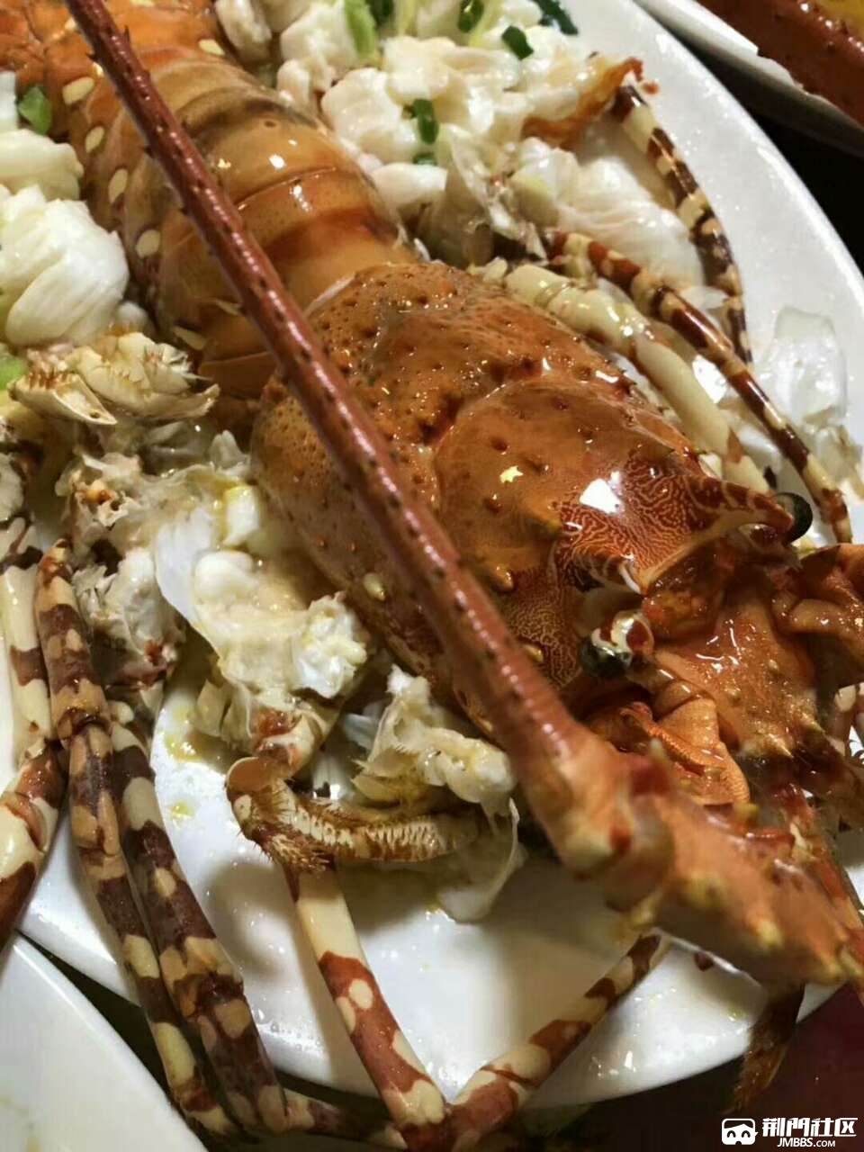 看了不流口水吗?东山岛的野生大花龙青龙虾这样煮