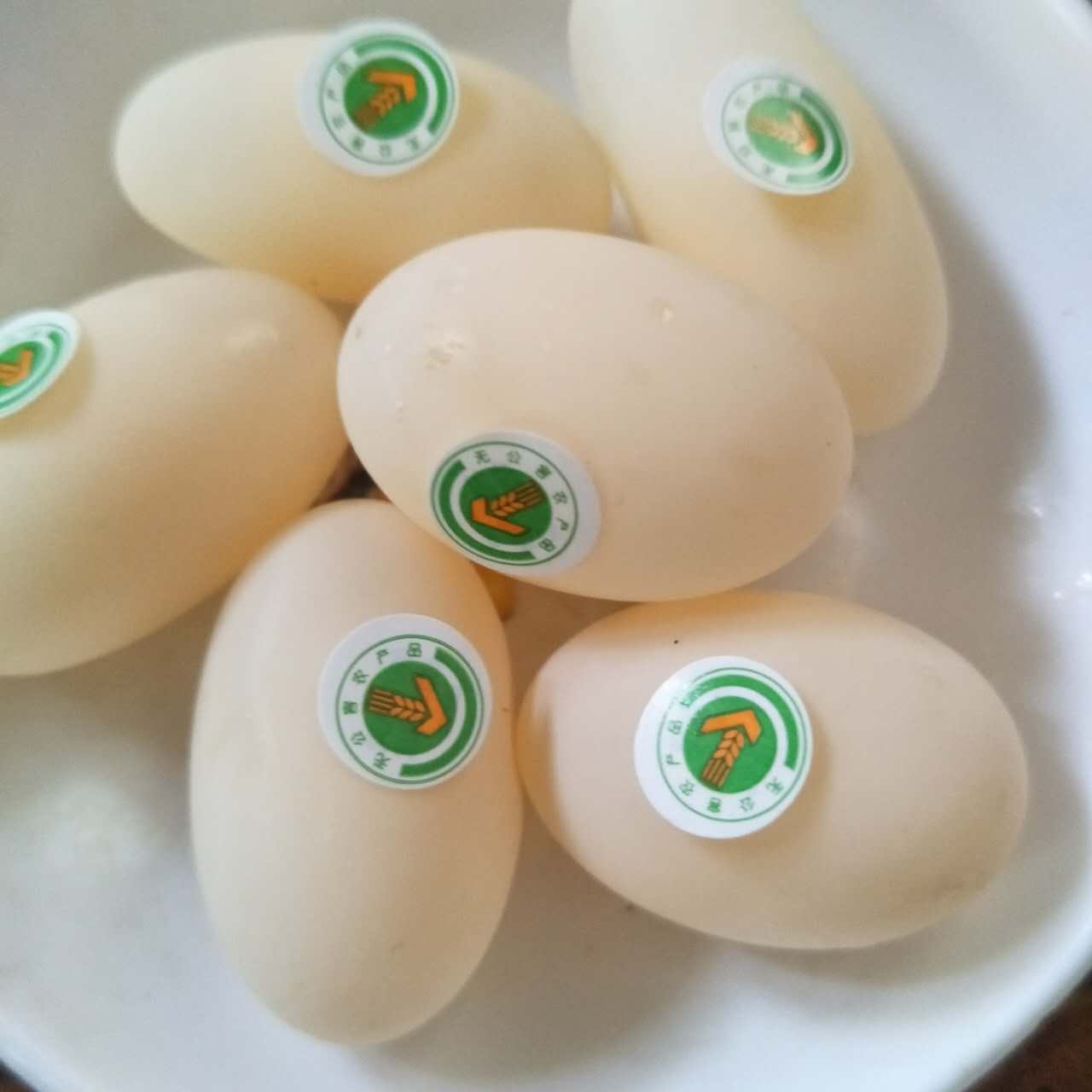 无公害农产品甲鱼,乌龟,乌龟蛋出售15608692546