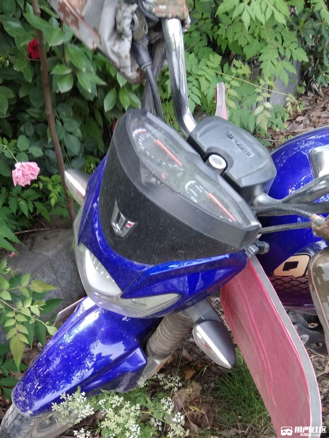 证费齐全的钱江金刚125,必须过户