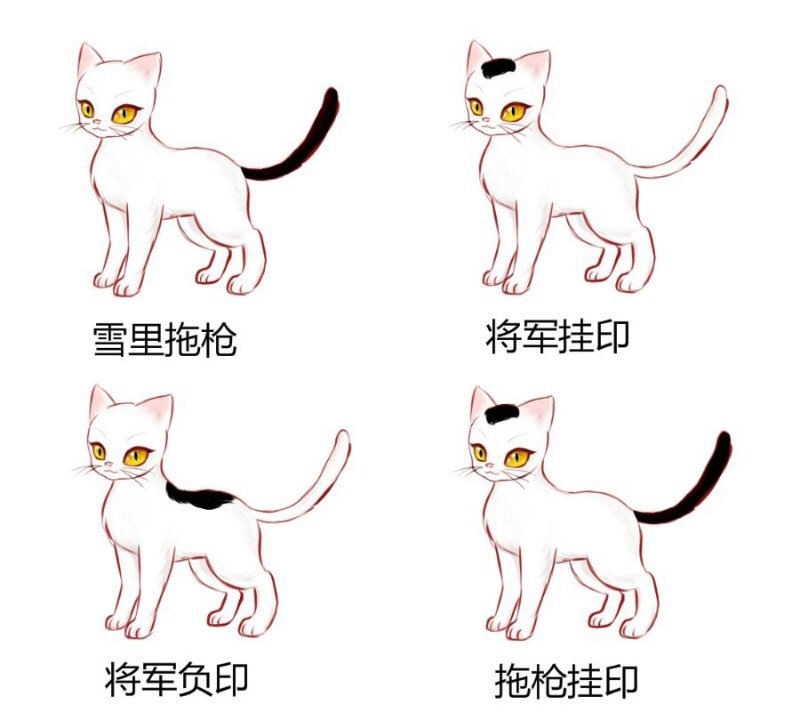 "将军挂印"小白求稳定饭票