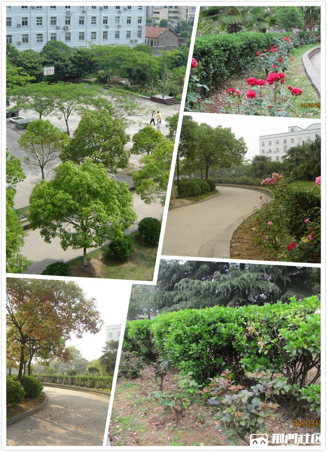 荆门市文林高中2018招生简章