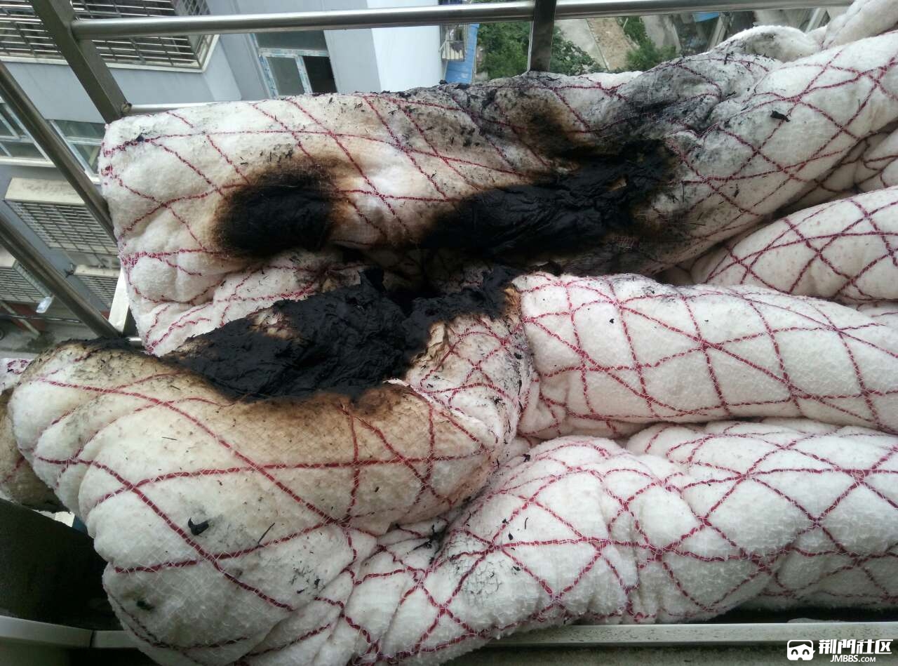 火从天降,烟头从天降,晒个絮竟然"晒糊了"