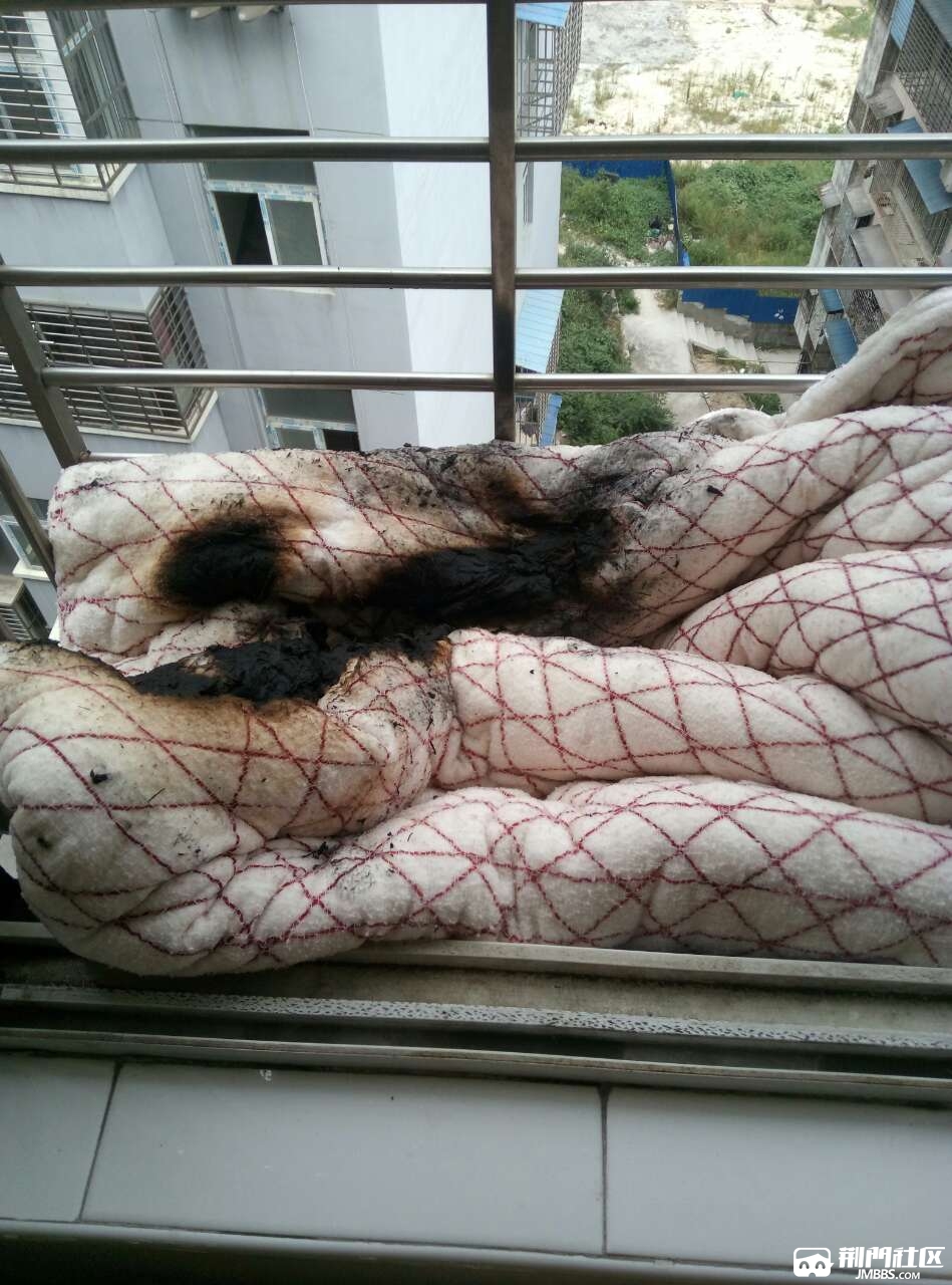 火从天降,烟头从天降,晒个絮竟然"晒糊了"