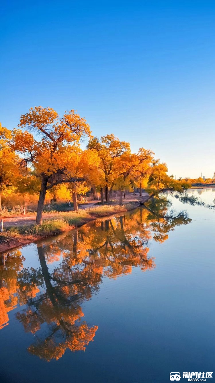 景山花园2期大3房急售