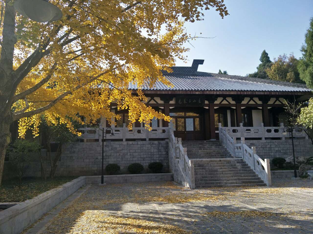 【大美荆门,至美初冬】午下的老莱子山庄和象山二路 - 我是拍客 - 荆