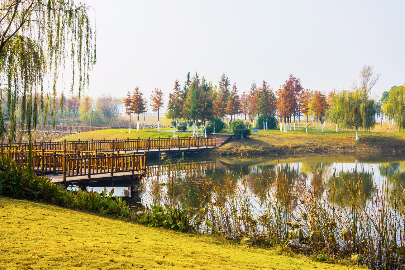 【大美荆门,至美初冬】湿地公园初冬探景