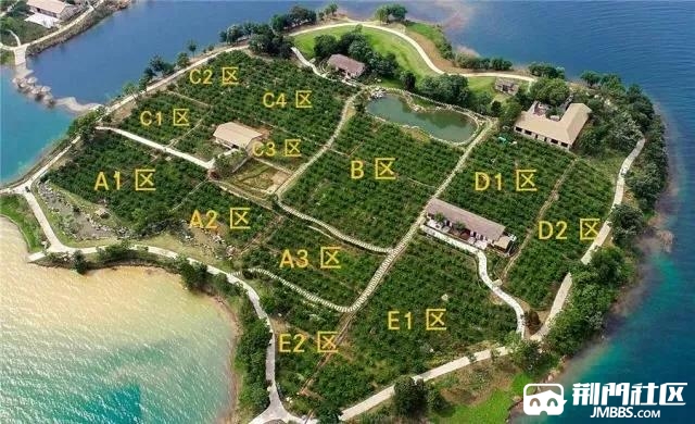 橘岛庄园打造2019年精品私人果园