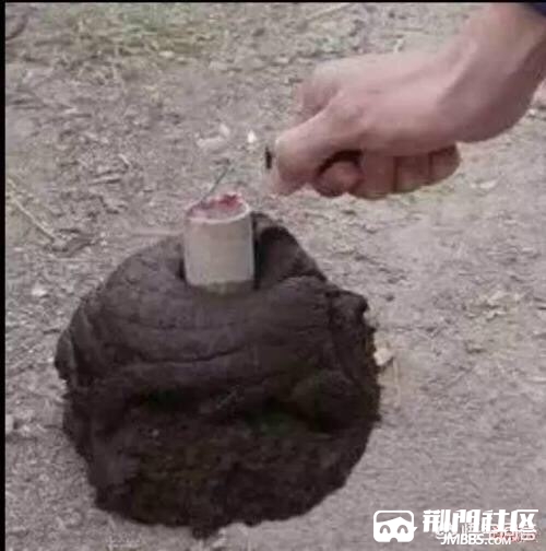 小时候过年你用鞭炮炸过什么?本人70后,小时候过年