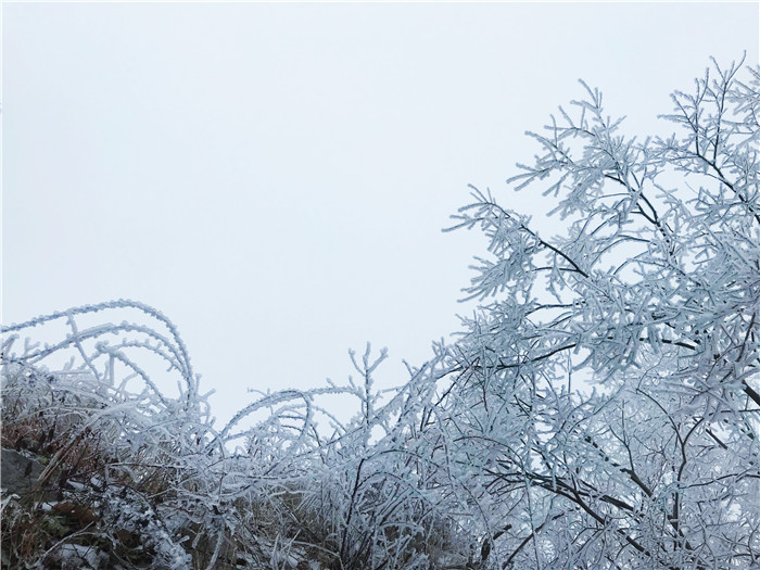 圣境山雪景图片