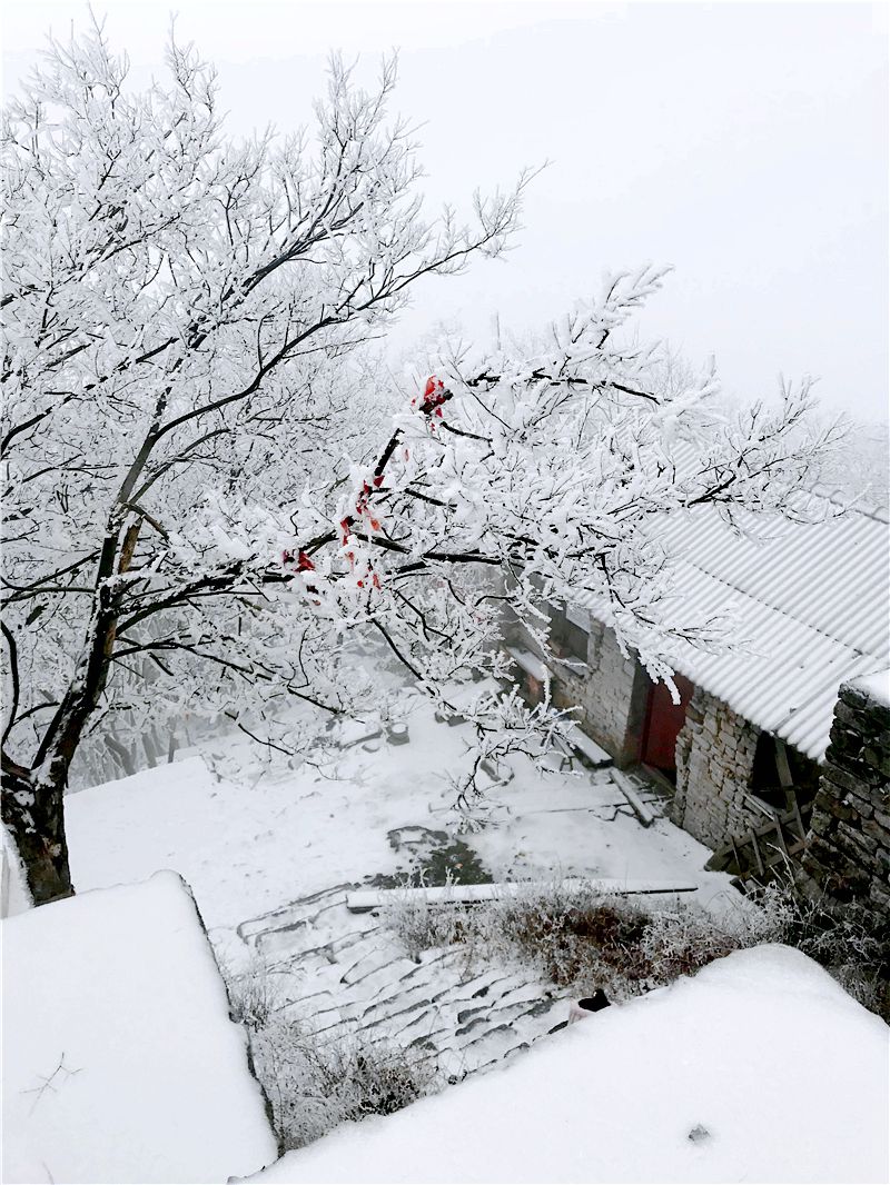 荆门圣境山雪景图片