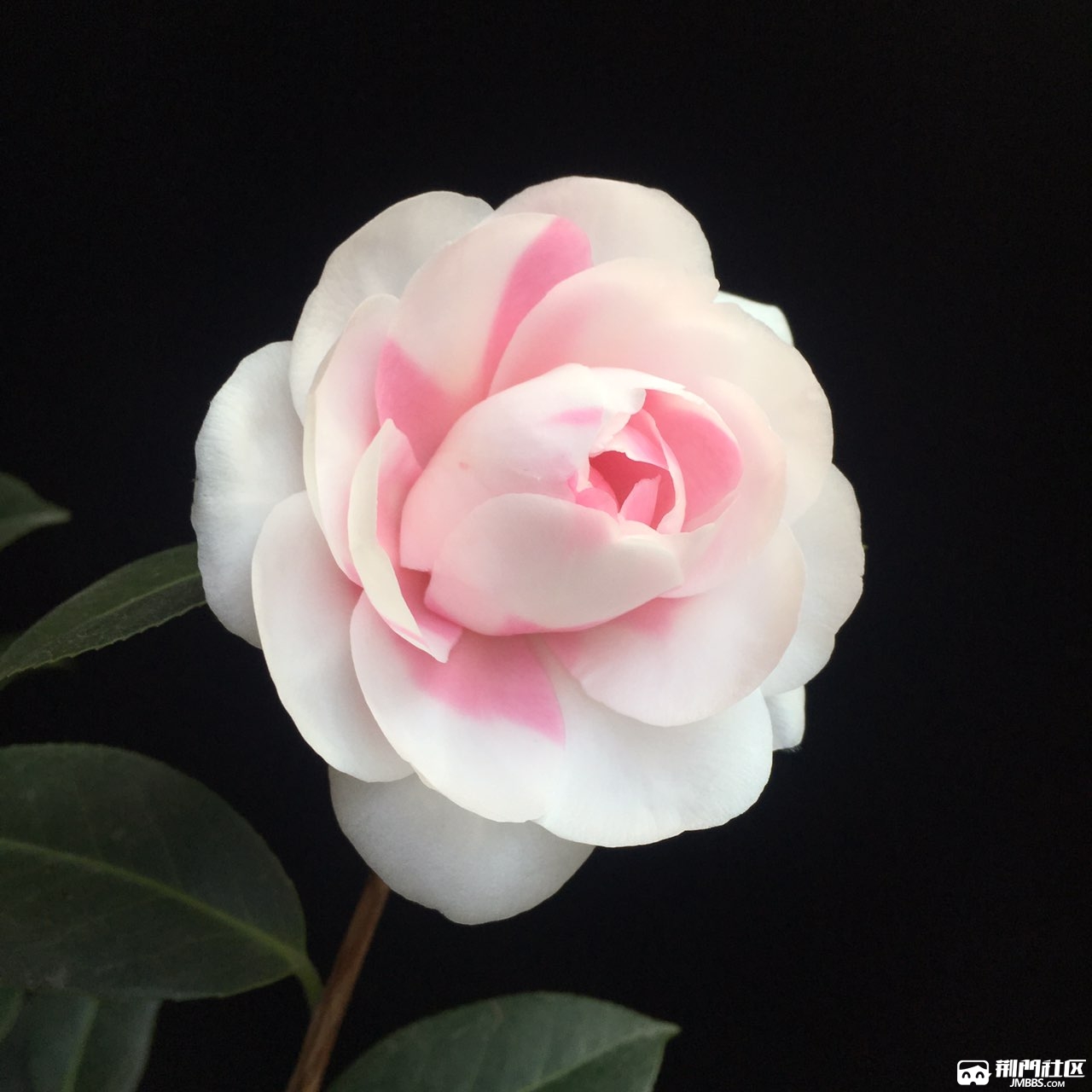 斑水屋 朝夕垦植,不负所期.