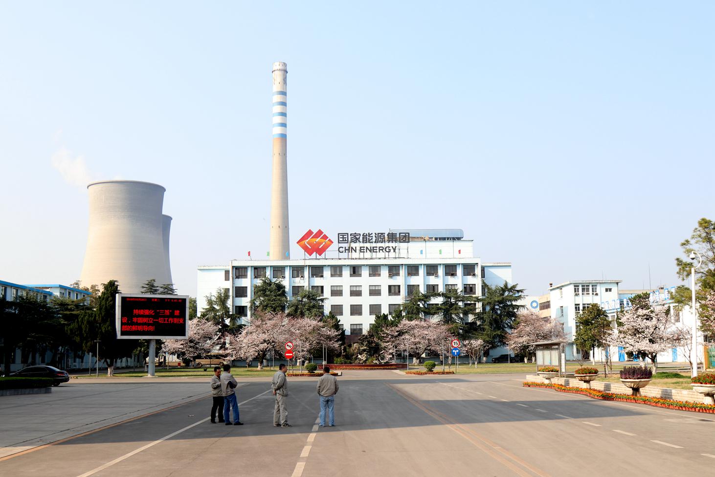 【神仙打架】热电厂樱花开了 - 我是拍客 - 荆门社区 - 强势媒体 荆门