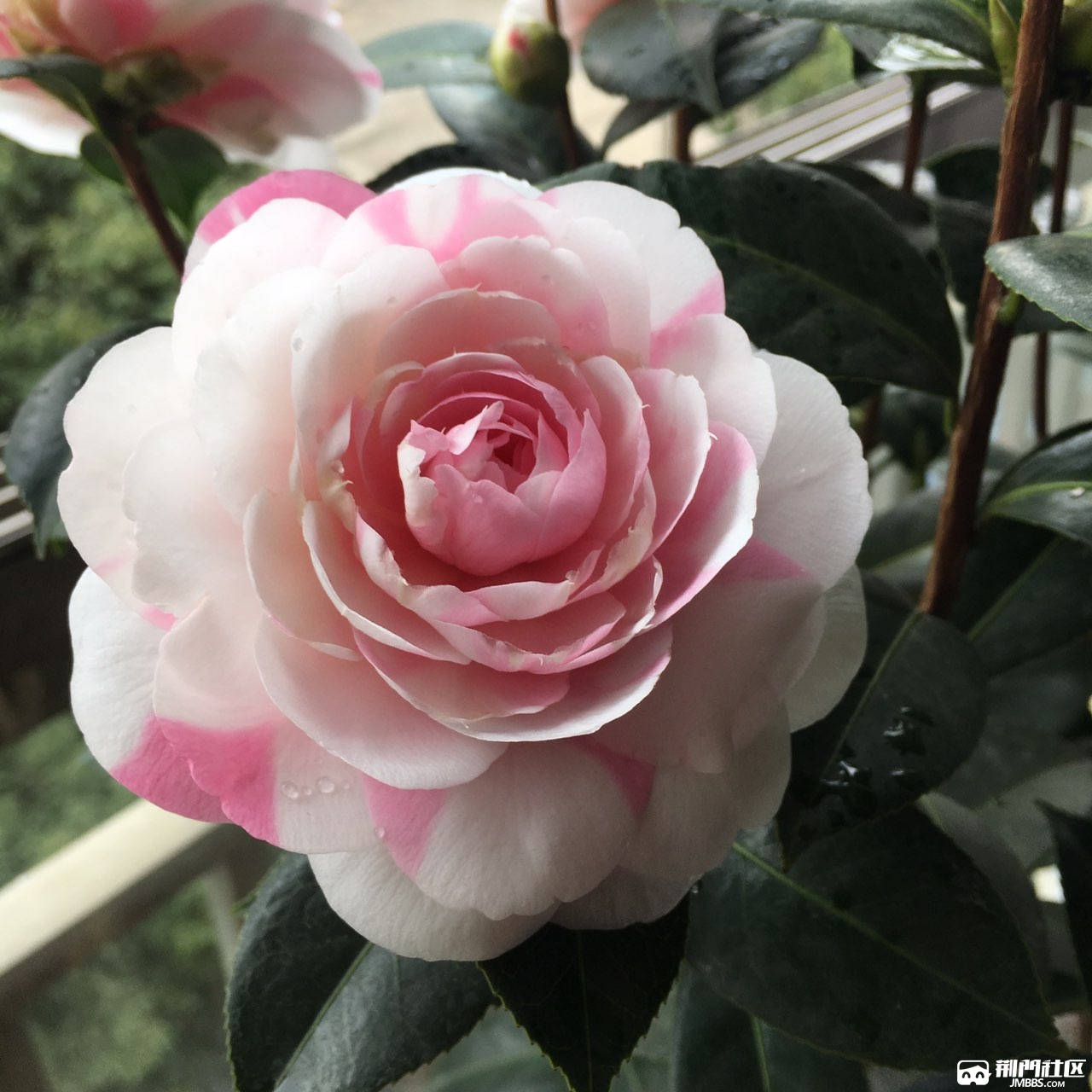 斑水屋朝夕垦植不负所期