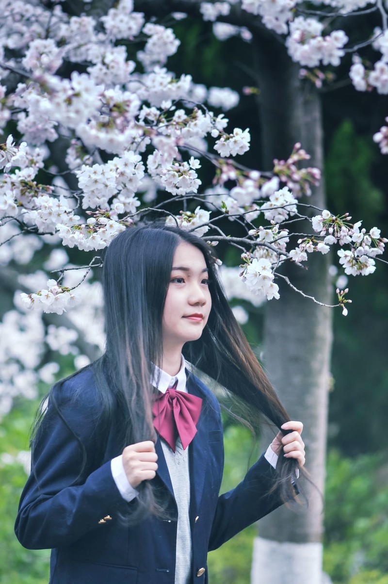 樱花下的美少女