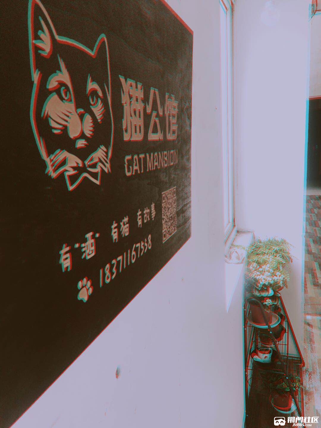 这家撸猫咖啡店萌到炸!