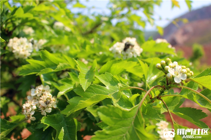 荆门城郊石莲村有个烧火佬沟可以走一下 - 旅游户外 - 荆门社区
