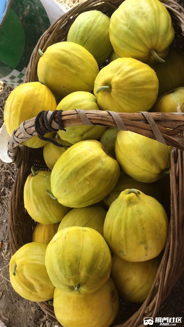 为什么发个香瓜发不出去,通不过