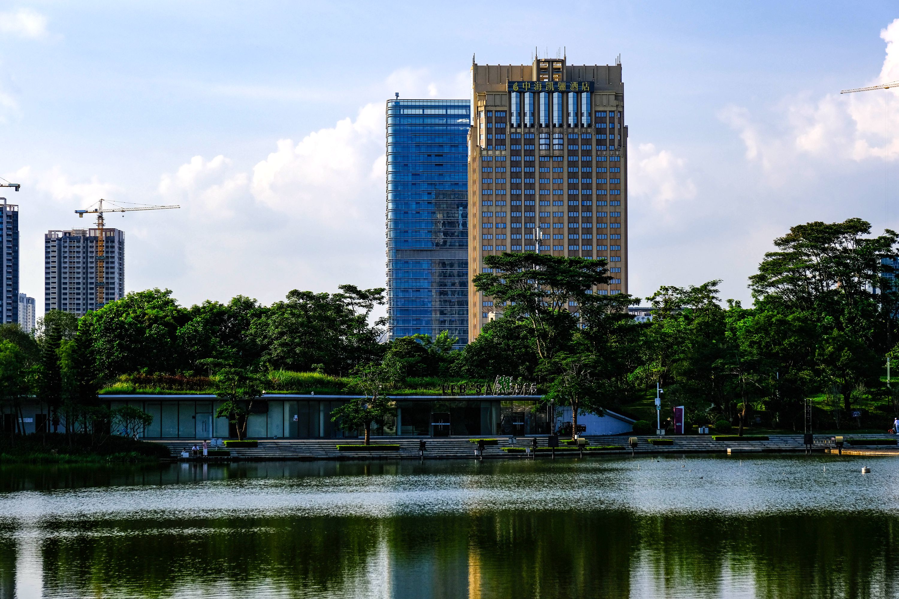 外面的风景(深圳龙岗) - 我是拍客 - 荆门社区 - 强势媒体 荆门门户