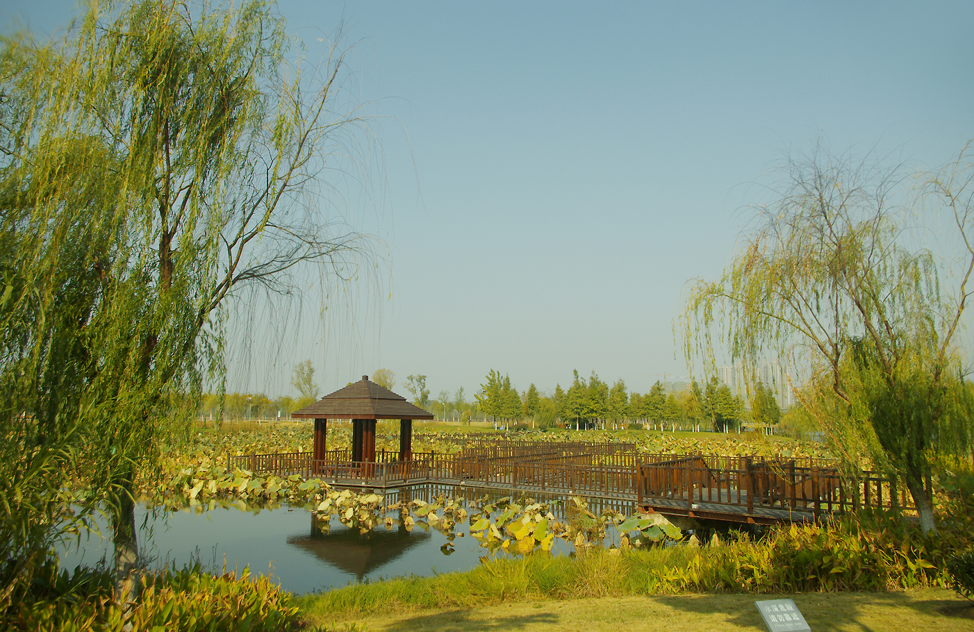 张家港凤凰湖湿地公园图片
