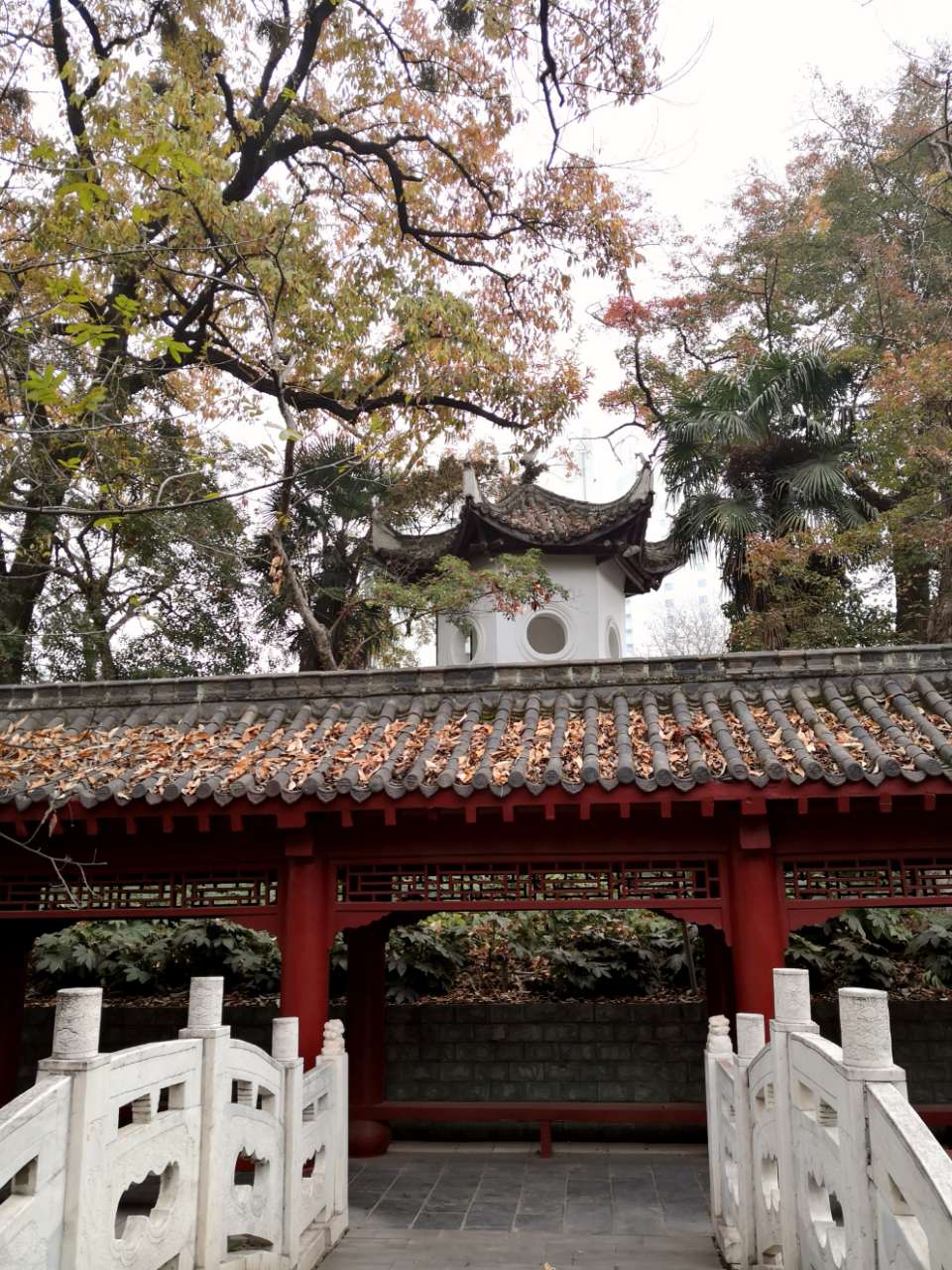 龙泉书院 