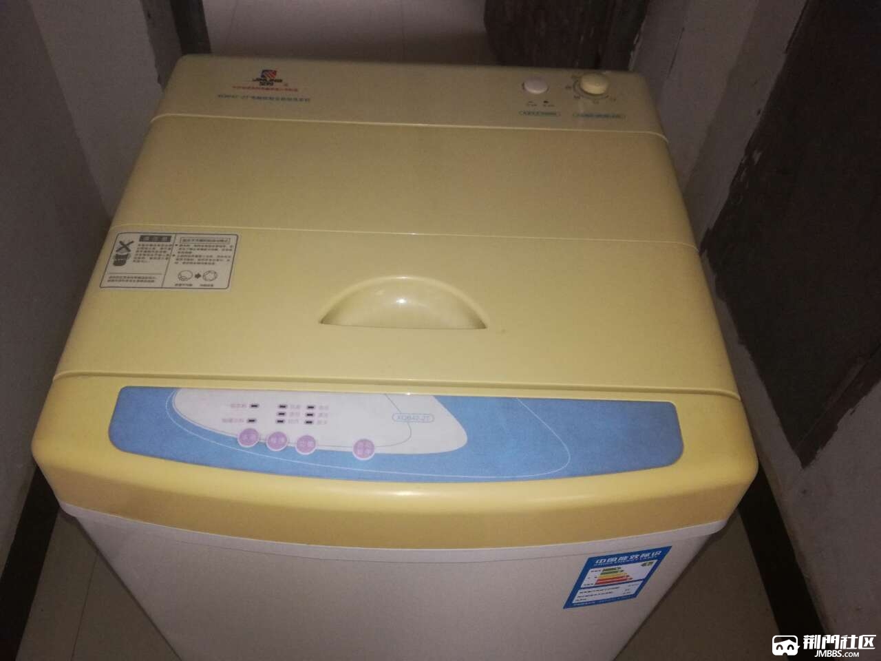 出台金羚全自动洗衣机