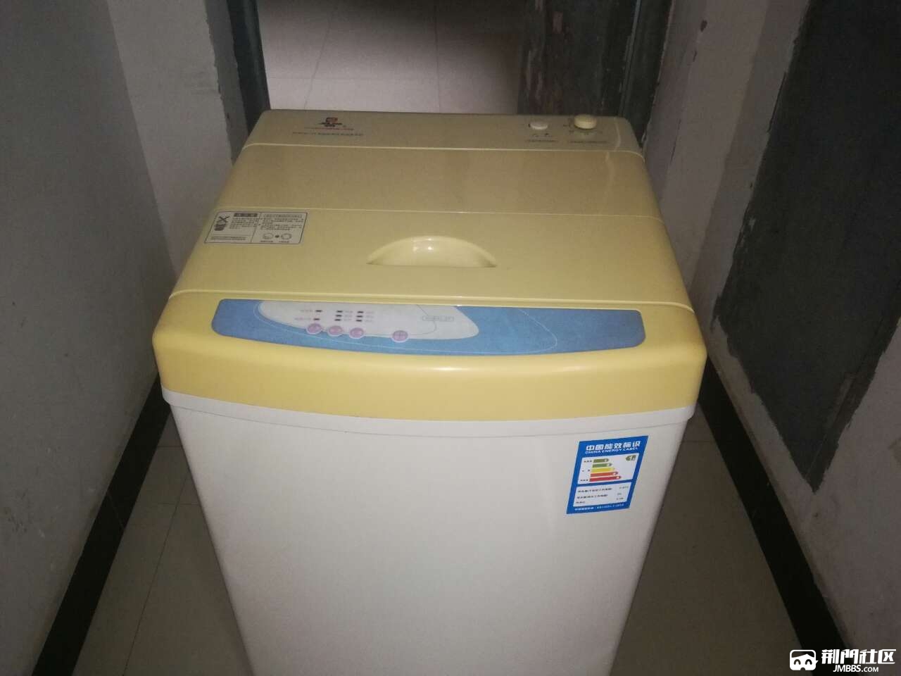 出台金羚全自动洗衣机