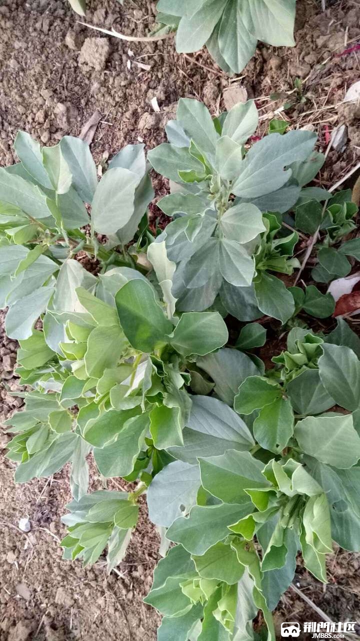 小时候都玩过这个吗