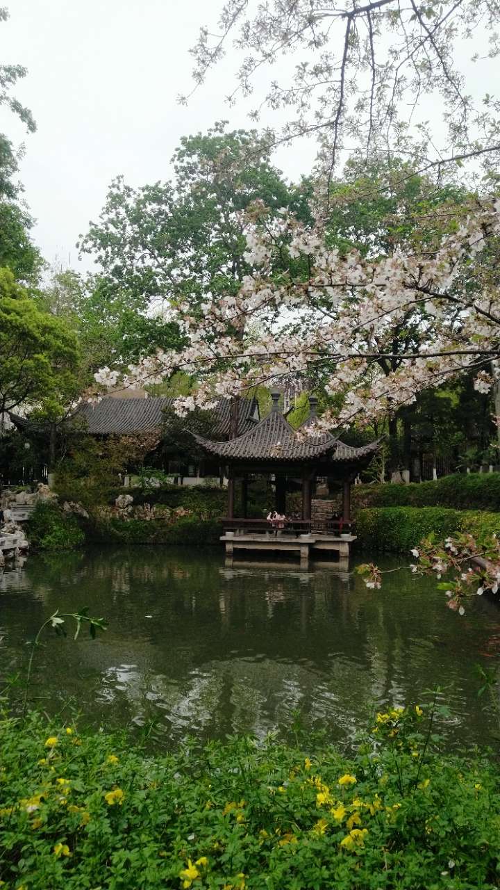 象山二期景区掠影 - 我是拍客 - 荆门社区 - 强势媒体 荆门门户