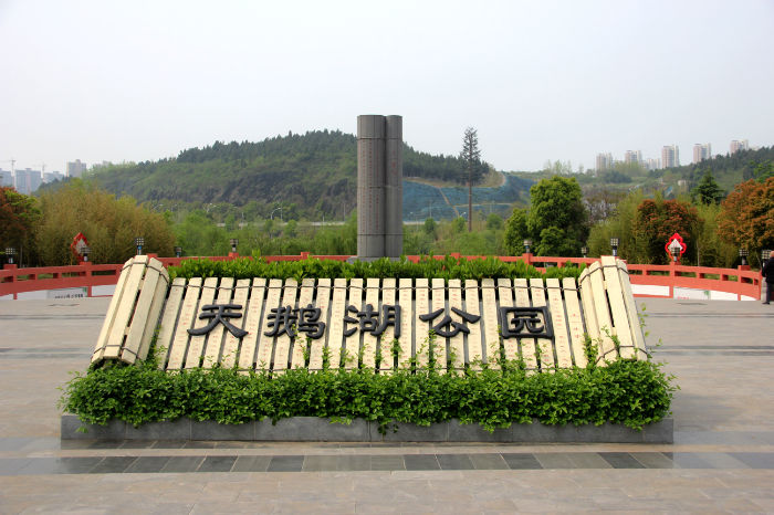 天鹅湖