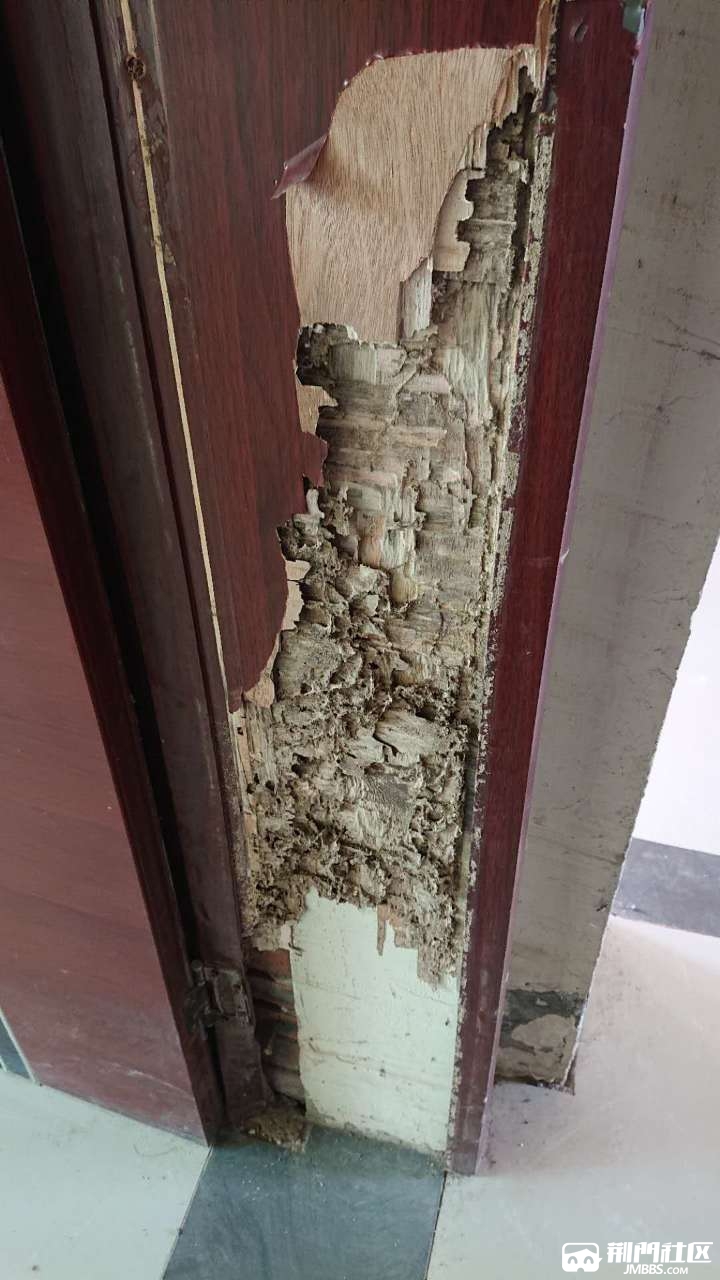 白蚁蛀蚀后痕迹