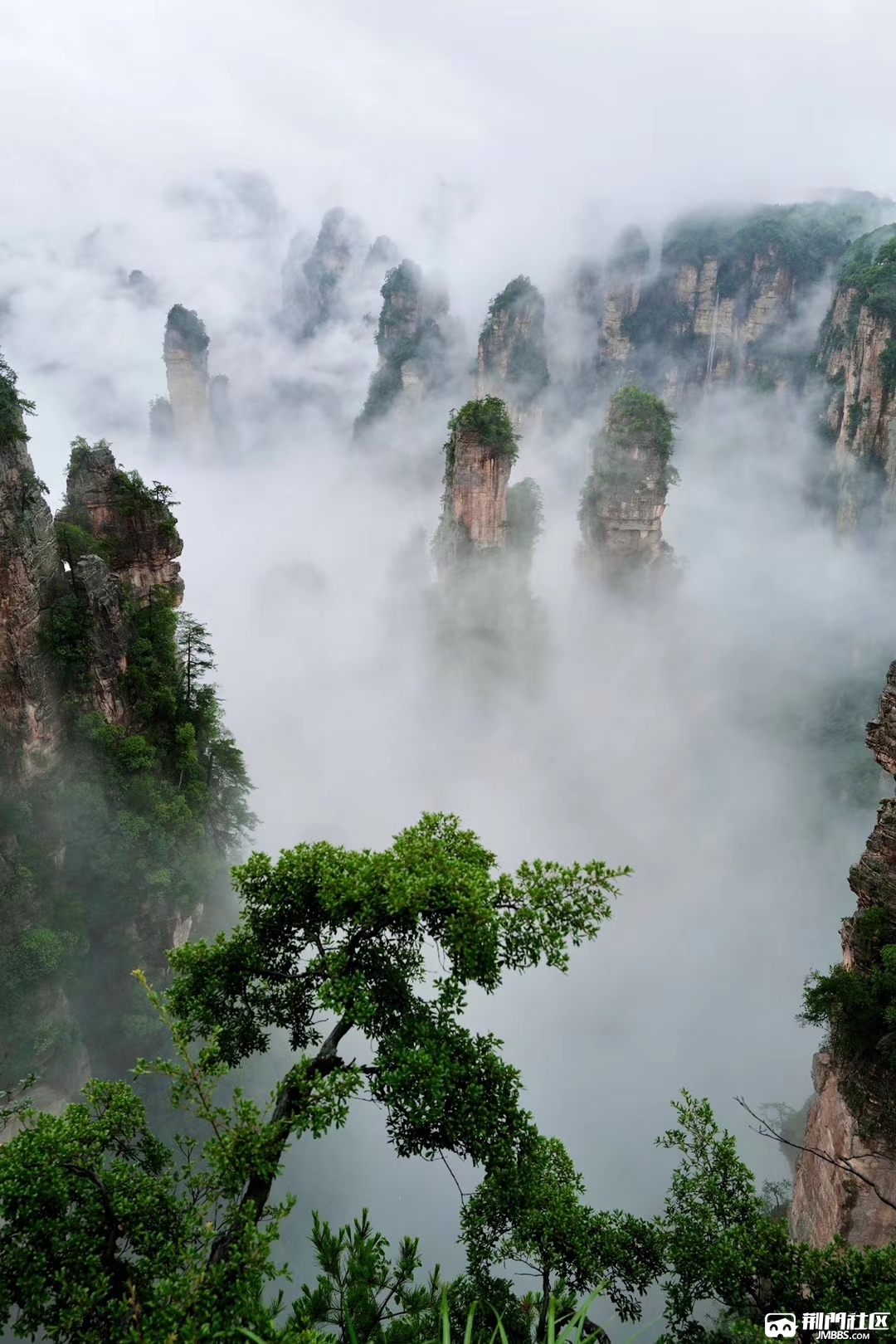 张家界玻璃栈道极致地球绝版峰墙行走在无比惬意的风景中