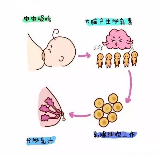 奶不够怎么办图片