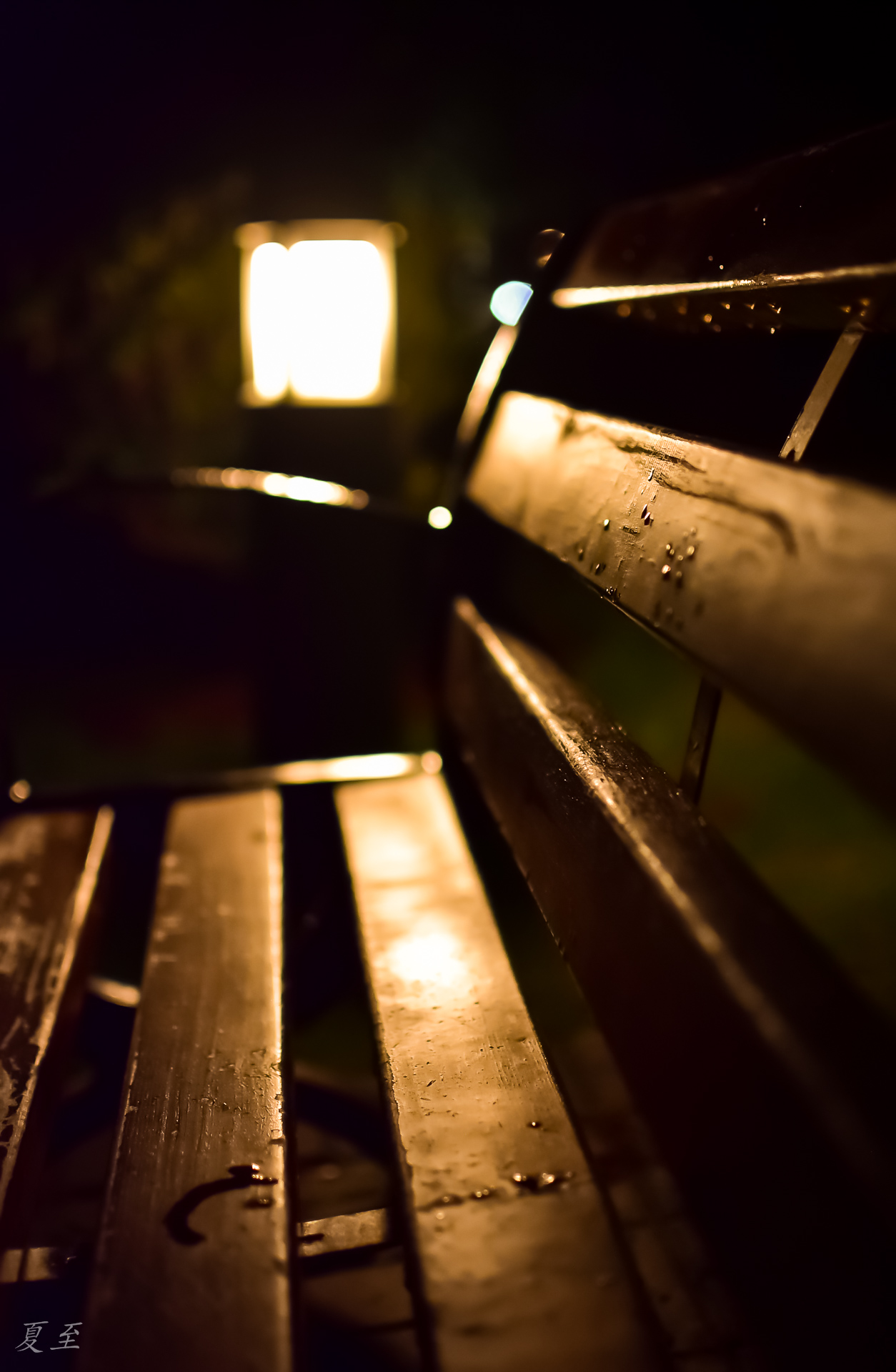 雨过天晴的夜晚,倍感清凉